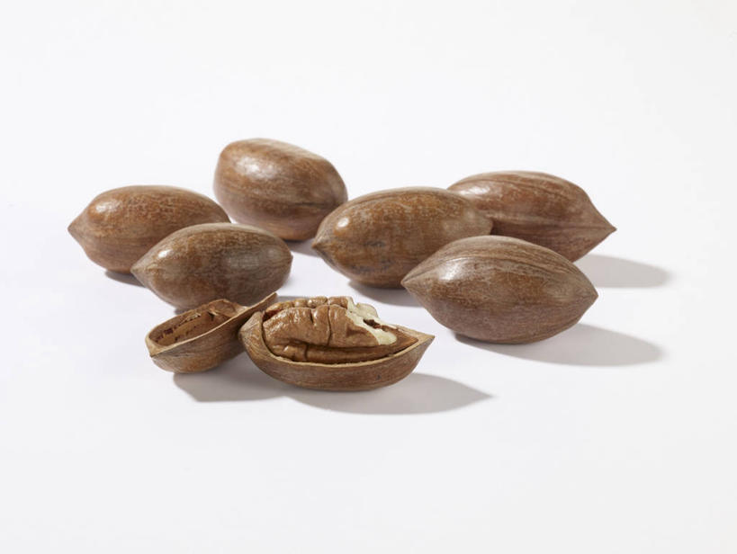 无人,横图,俯视,室内,特写,白天,白色背景,桌面,桌子,阴影,反射,木制,影子,核桃,坚果,棕色,果实,木制品,干果,摄影,影棚,小核桃,山核桃,胡桃,羌桃,美洲山核桃,彩图,高角度拍摄,影棚拍摄,拍摄