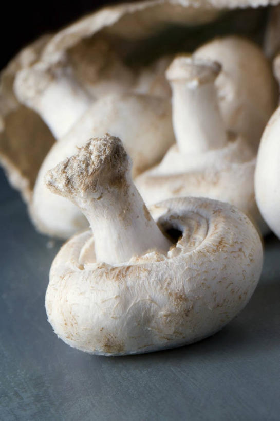 无人,竖图,俯视,室内,特写,白天,餐桌,桌子,蔬菜,许多,阴影,新鲜,反射,影子,菌菇,蘑菇,食品,很多,菌类,食物,白色,食用菌,有机食品,绿色食品,餐台,白蘑菇,洋蘑菇,草腐菌,二孢蘑菇,双孢蘑菇,彩图,高角度拍摄