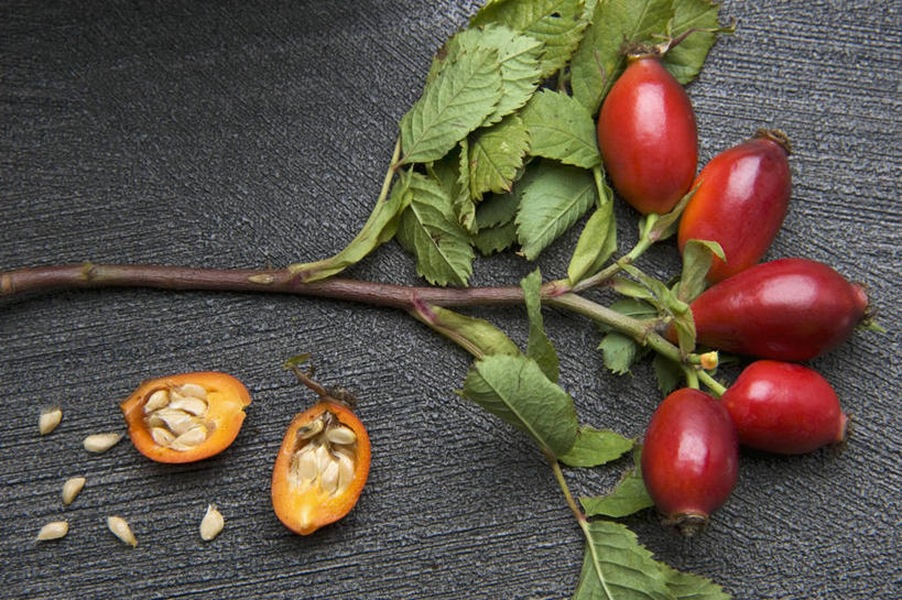 无人,横图,俯视,室内,特写,白天,植物,餐桌,桌子,水果,叶子,阴影,新鲜,反射,影子,生食,食品,果实,绿叶,枝条,树,树木,树枝,食物,红色,果肉,嫩叶,有机食品,绿色食品,餐台,蔷薇果,玫瑰果,五颗,虬枝,枝杈,叶,叶片,彩图,高角度拍摄