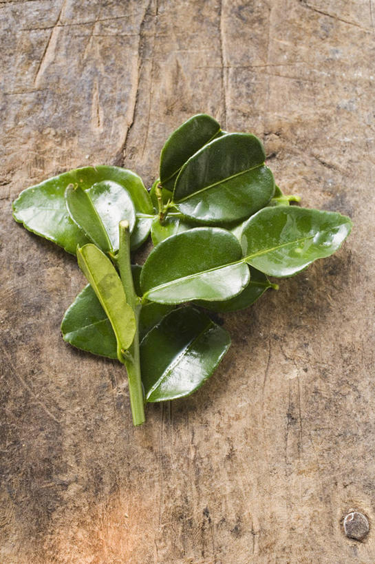 无人,竖图,俯视,室内,特写,白天,植物,餐桌,桌子,叶子,许多,阴影,反射,纹理,影子,绿叶,很多,绿色,嫩叶,餐台,柠檬叶,肌理,叶,叶片,叶脉,彩图,高角度拍摄,黎檬,洋柠檬