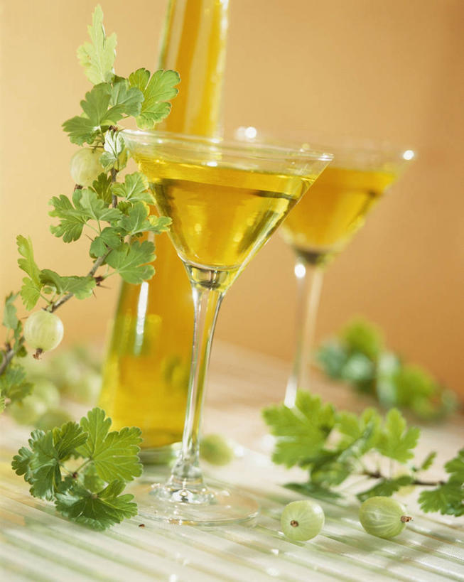 无人,竖图,俯视,室内,特写,白天,植物,餐桌,桌子,杯子,叶子,阴影,朦胧,模糊,反射,纹理,影子,绿叶,酒类,两杯,玻璃制品,酒,饮料,两个,绿色,酒杯,嫩叶,餐台,利口酒,肌理,蒸馏酒,餐后甜酒,叶,叶片,叶脉,玻璃杯,彩图,高角度拍摄,利口酒杯