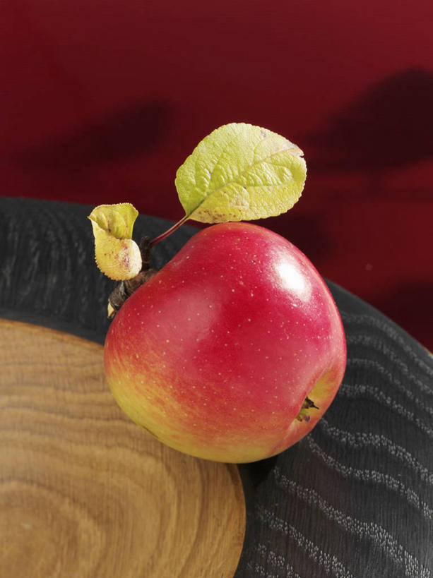 无人,竖图,俯视,室内,特写,白天,餐桌,桌子,苹果,水果,叶子,阴影,新鲜,反射,影子,生食,食品,果实,绿叶,食物,一个,红色,红苹果,嫩叶,有机食品,绿色食品,单个,餐台,麦金托什红苹果,叶,叶片,彩图,高角度拍摄