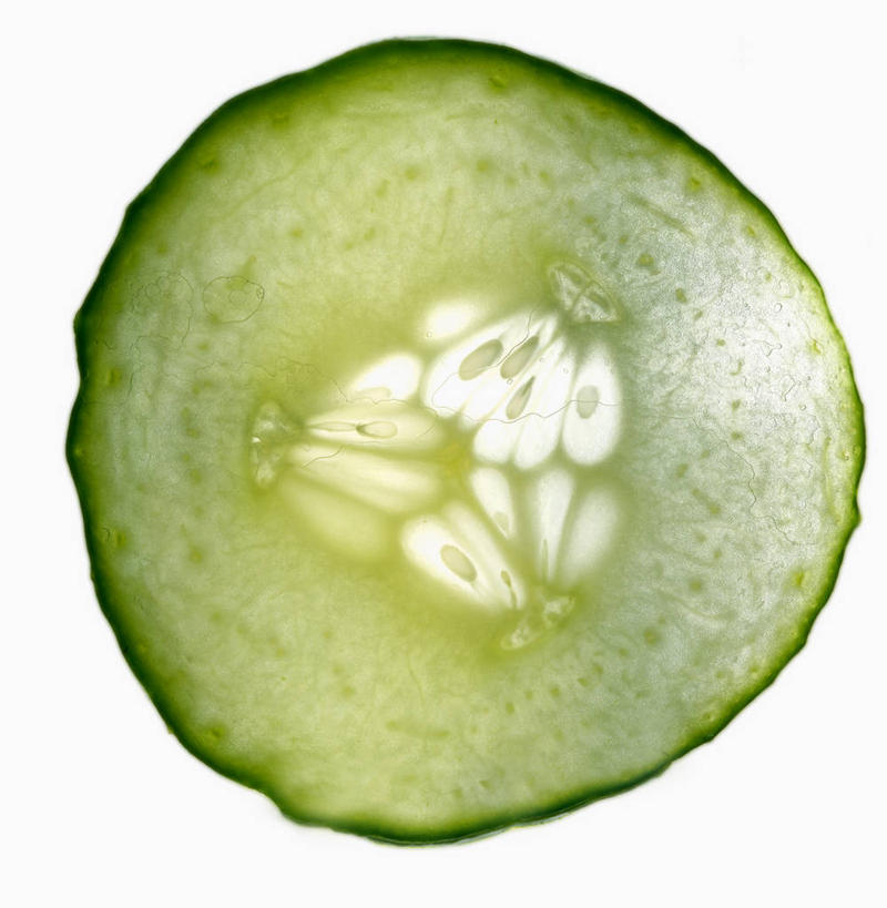 无人,竖图,室内,特写,白天,白色背景,正面,黄瓜,蔬菜,一片,阴影,新鲜,反射,影子,食品,食物,摄影,有机食品,绿色食品,影棚,青瓜,胡瓜,彩图,影棚拍摄,拍摄