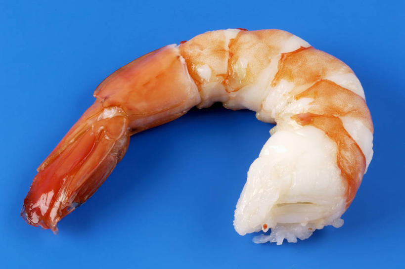 海鲜,无人,横图,俯视,室内,特写,白天,餐桌,桌子,阴影,蓝色背景,反射,影子,虾,水产,大虾,海洋生物,一个,摄影,影棚,对虾,单个,餐台,水生动物,海产品,水生物,海底动物,斑节虾,东方对虾,中国对虾,彩图,高角度拍摄,影棚拍摄,拍摄