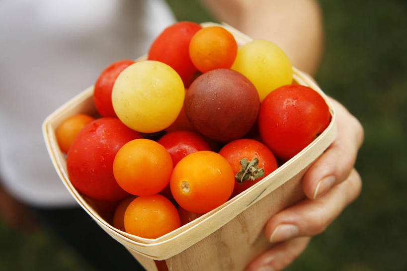 西方人,手,一个人,捧,交叉,横图,俯视,室内,特写,白天,草地,草坪,植物,竹子,蔬菜,西红柿,小番茄,欧洲,欧洲人,仅一个年轻女性,仅一个女性,仅一个人,一堆,许多,阴影,堆叠,堆积,竹制,服装,朦胧,模糊,新鲜,编织,光线,篮子,影子,食品,休闲装,草,食物,一个,衣服,黄色,红色,绿色,阳光,竹篮,休闲,手部,休闲服,服饰,有机食品,绿色食品,单个,竹条,堆,单手,交织,竹制品,穿插,小西红柿,樱桃小番茄,珍珠小番茄,年轻女性,女人,女性,白种人,樱桃番茄,圣女果,番茄,端,端着,捧着,手捧,半身,彩图,高角度拍摄