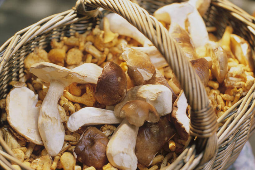 无人,交叉,横图,俯视,室外,特写,白天,竹子,蔬菜,一堆,许多,阴影,堆叠,堆积,竹制,朦胧,模糊,新鲜,编织,反射,篮子,影子,菌菇,食品,菌类,食物,一个,竹篮,食用菌,有机食品,绿色食品,单个,竹条,堆,交织,竹制品,鸡油菌,穿插,杏黄菌,杏菌,彩图,高角度拍摄