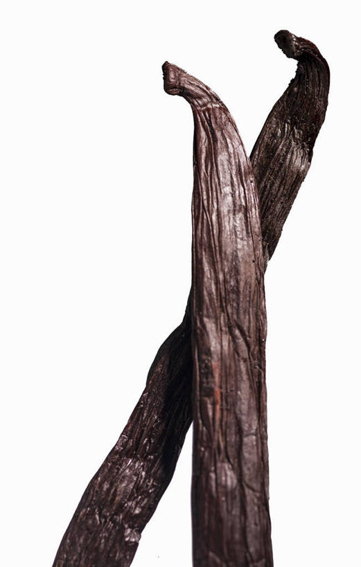 无人,竖图,俯视,室内,特写,白天,白色背景,植物,餐桌,桌子,阴影,反射,影子,草药,药草,中药,两个,清热,摄影,影棚,餐台,药材,中草药,香草兰,中药材,本草,解毒,婆绒花,山薄荷,石母草,彩图,高角度拍摄,影棚拍摄,拍摄