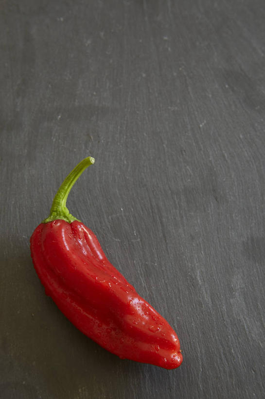 无人,竖图,俯视,室内,特写,白天,餐桌,桌子,辣椒,蔬菜,阴影,新鲜,反射,影子,食品,食物,一个,红色,有机食品,绿色食品,单个,餐台,彩椒,辣角,红海椒,大椒,辣虎,广椒,甜椒,柿子椒,辣子,海椒,番椒,灯笼椒,彩图,高角度拍摄