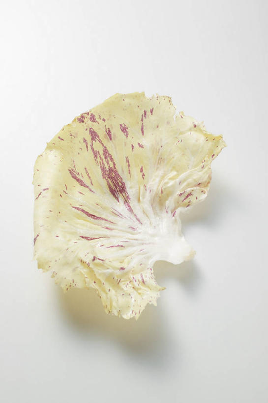 无人,竖图,俯视,室内,特写,白天,白色背景,餐桌,桌子,蔬菜,叶子,阴影,新鲜,反射,影子,菊苣,食品,绿叶,药草,食物,一个,嫩叶,摄影,有机食品,绿色食品,影棚,单个,餐台,药材,叶,叶片,彩图,高角度拍摄,影棚拍摄,拍摄