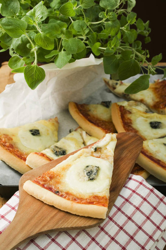 奶酪,无人,竖图,俯视,室内,特写,白天,烹饪,西餐,植物,餐桌,桌子,叶子,阴影,反射,木制,布料,铲子,盆栽,影子,干酪,起司,料理,食品,披萨,匹萨,绿叶,盆景,芝士,营养,布纹,菜肴,美食,桌布,食物,绿色,自然,餐巾,木制品,台布,快餐,嫩叶,乳酪,西式,佳肴,生长,成长,餐台,牛至,乳制品,比萨,滇香蕾,发酵,西式快餐,垃圾食品,蓝纹奶酪,意大利薄饼,土香薷,斯提耳顿干酪,荆芥,香薷,奥勒冈草,白花土荆芥,白花茵陈,川香薷,俄力冈叶,减脂叶,满山香,蘑菇草,披萨草,银薄荷,止痢草,叶,叶片,彩图,高角度拍摄