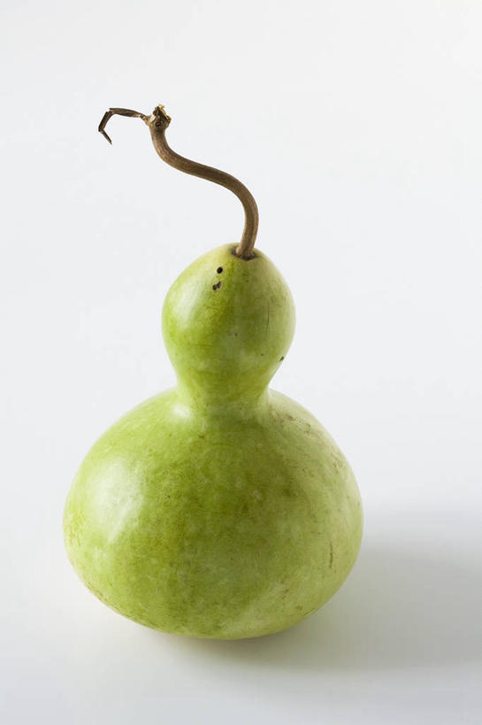 无人,竖图,俯视,室内,特写,白天,白色背景,餐桌,桌子,南瓜,蔬菜,阴影,新鲜,反射,影子,金瓜,食品,番瓜,食物,一个,绿色,摄影,有机食品,绿色食品,影棚,单个,餐台,麦瓜,倭瓜,彩图,高角度拍摄,影棚拍摄,拍摄