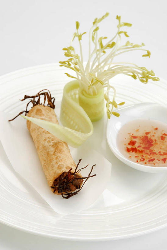 点心,无人,竖图,俯视,室内,特写,白天,白色背景,餐桌,桌子,餐具,阴影,反射,包裹,碟子,盘,影子,调料,酱料,酱汁,肉,佐料,食品,调味品,调味料,文化,猪肉,酱,辣酱,小吃,肉类,食物,糕点,白色,盘子,碟,甜食,摄影,影棚,餐台,辣椒酱,薄饼,肉食,豚肉,法国薄饼,彩图,高角度拍摄,影棚拍摄,拍摄