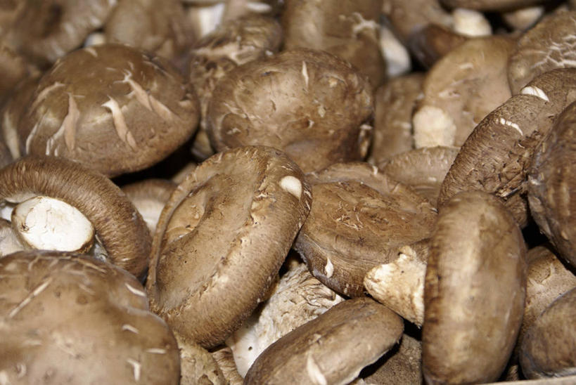 无人,横图,俯视,室内,特写,白天,蔬菜,一堆,许多,阴影,堆叠,堆积,新鲜,反射,影子,菌菇,香菇,食品,菌类,食物,食用菌,有机食品,绿色食品,堆,彩图,高角度拍摄