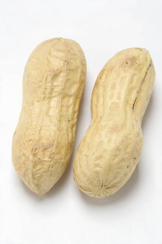 无人,竖图,俯视,室内,特写,白天,白色背景,植物,桌面,桌子,豆,花生,阴影,反射,木制,影子,豆类,豆子,坚果,两个,木制品,摄影,长生果,影棚,花生仁,豆科,落花生,落生,花生米,花生豆,彩图,高角度拍摄,影棚拍摄,拍摄