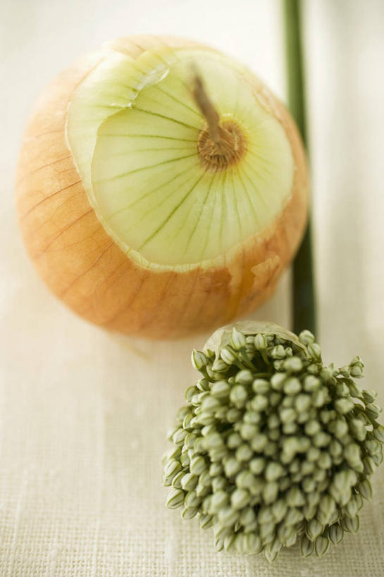 无人,竖图,俯视,室内,特写,白天,桌面,桌子,蔬菜,洋葱,阴影,朦胧,模糊,新鲜,反射,木制,影子,韭菜,食品,食物,木制品,有机食品,绿色食品,玉葱,起阳草,韭,山韭,长生韭,圆葱,洋葱头,球葱,葱头,彩图,高角度拍摄,黄洋葱