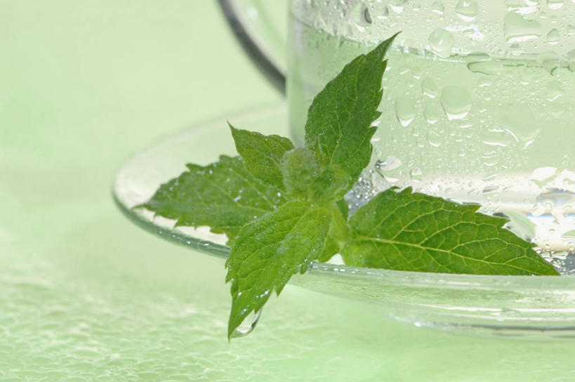 无人,横图,俯视,室内,特写,白天,幸福,茶,桌面,桌子,杯子,餐具,玻璃,绿色背景,阴影,朦胧,模糊,反射,木制,碟子,盘,影子,茶叶,饮品,娱乐,玻璃制品,盘子,木制品,水杯,碟,花茶,享受,休闲,温馨,放松,乐趣,保健,养生,摄影,影棚,花草茶,舒适,薄荷茶,香花茶,香片,熏花茶,茶杯,彩图,高角度拍摄,影棚拍摄,拍摄