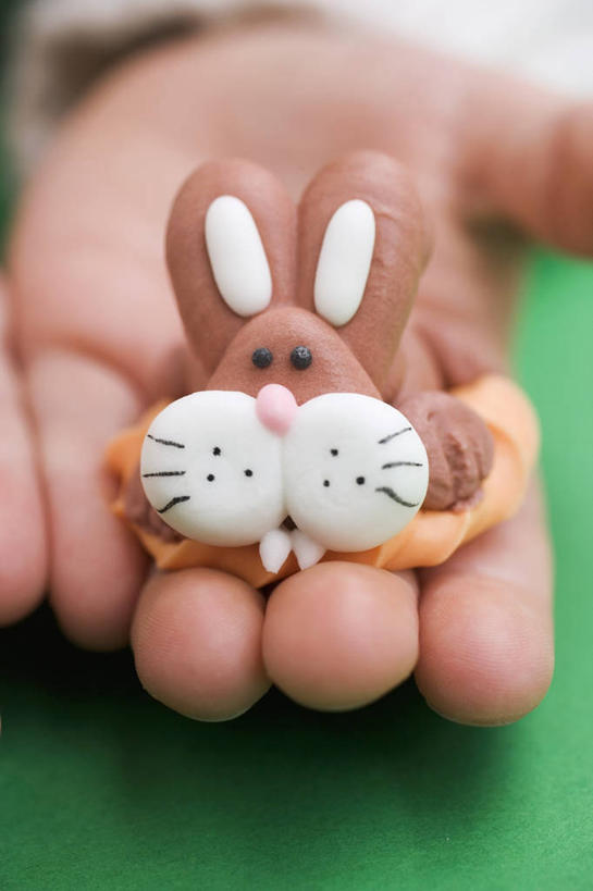 西方人,儿童,手,一个人,捧,竖图,俯视,室内,特写,白天,纯洁,哺乳动物,欧洲,复活节,欧洲人,仅一个女性,仅一个人,节日,朦胧,模糊,庆祝,兔子,食品,糖,糖果,甜点,甜品,文化,食物,小孩,动物,甜食,巧克力,仅一个小孩,庆典,手部,可爱,童年,童趣,纪念,朱古力,单手,兔,童真,烂漫,无邪,天真,女孩,女人,女性,白种人,孩子,端,端着,捧着,手捧,半身,彩图,高角度拍摄,女生