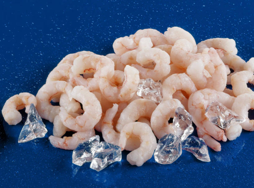 海鲜,无人,横图,俯视,室内,特写,白天,桌面,桌子,一堆,许多,阴影,堆叠,堆积,蓝色背景,反射,木制,影子,冰,虾,冰块,很多,冷冻,水产,大虾,海洋生物,木制品,寒冷,摄影,影棚,对虾,冷藏,堆,冰冷,水生动物,海产品,水生物,海底动物,斑节虾,保鲜,东方对虾,中国对虾,彩图,高角度拍摄,影棚拍摄,拍摄