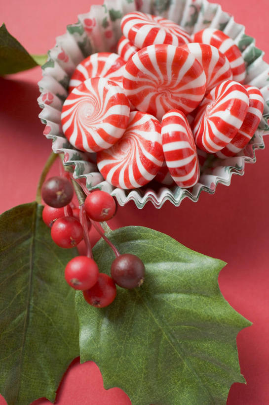 无人,竖图,俯视,室内,特写,白天,植物,桌面,桌子,叶子,圣诞节,阴影,红色背景,节日,庆祝,反射,木制,纹理,影子,陶瓷,食品,糖,糖果,甜点,甜品,绿叶,陶瓷制品,文化,食物,一个,绿色,木制品,容器,碗,甜食,庆典,嫩叶,摄影,影棚,单个,纪念,储藏,储存,薄荷糖,硬糖,肌理,叶,叶片,叶脉,彩图,高角度拍摄,影棚拍摄,拍摄,贮存