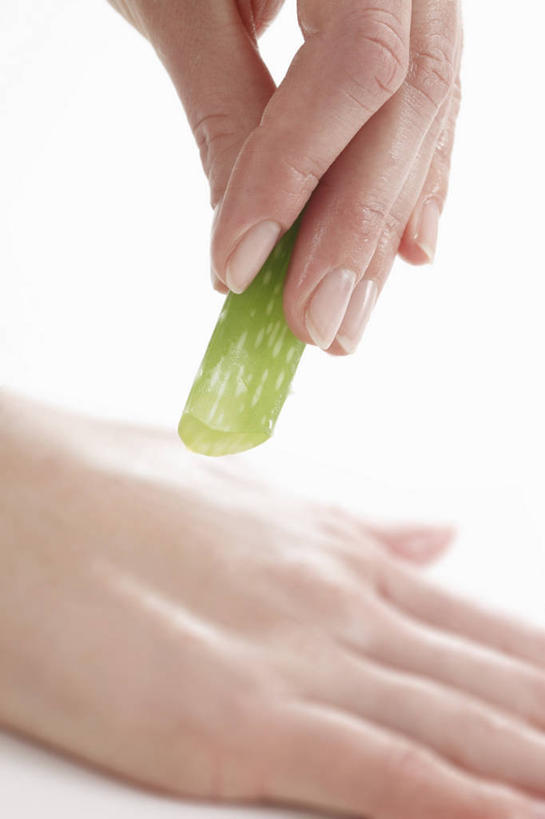 西方人,手,一个人,竖图,室内,特写,白天,白色背景,正面,植物,芦荟,欧洲,欧洲人,双手,仅一个年轻女性,仅一个女性,仅一个人,擦,抚摸,握,草药,药草,拿,拿着,中药,手部,擦拭,握着,摄影,影棚,药材,中草药,中药材,本草,罗帷草,讷会,奴会,象鼻莲,象胆,揩擦,拭,年轻女性,女人,女性,白种人,半身,彩图,影棚拍摄,拍摄,轻抚,油葱