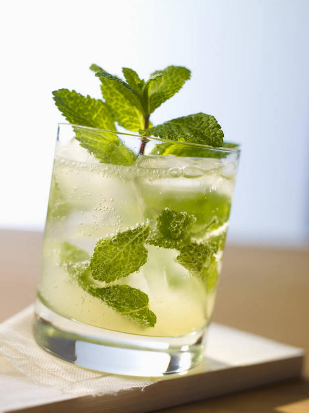 无人,竖图,俯视,室内,特写,白天,餐桌,桌子,杯子,水果,叶子,阴影,朦胧,模糊,新鲜,反射,影子,生食,食品,果实,绿叶,酒类,一杯,文化,玻璃制品,酒,食物,饮料,一个,水杯,鸡尾酒,嫩叶,调酒,有机食品,绿色食品,单个,餐台,创造,想象,莫吉托,酸橙,代代,叶,叶片,玻璃杯,橙子,橙,彩图,高角度拍摄