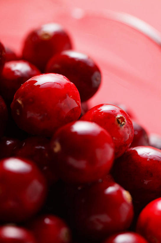 无人,竖图,俯视,室内,特写,白天,餐桌,桌子,水果,一堆,许多,阴影,堆叠,堆积,红色背景,朦胧,模糊,新鲜,反射,影子,生食,食品,果实,很多,食物,红色,摄影,有机食品,绿色食品,影棚,餐台,堆,蔓越莓,小红莓,彩图,高角度拍摄,影棚拍摄,拍摄