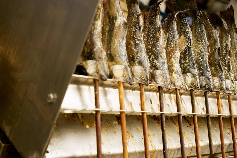 无人,横图,俯视,室内,特写,白天,烧烤,餐桌,桌子,一排,阴影,节日,庆祝,整齐,反射,影子,肉,鱼肉,文化,肉类,竹签,排列,啤酒节,庆典,餐台,纪念,队列,肉食,取食签,慕尼黑啤酒节,彩图,高角度拍摄