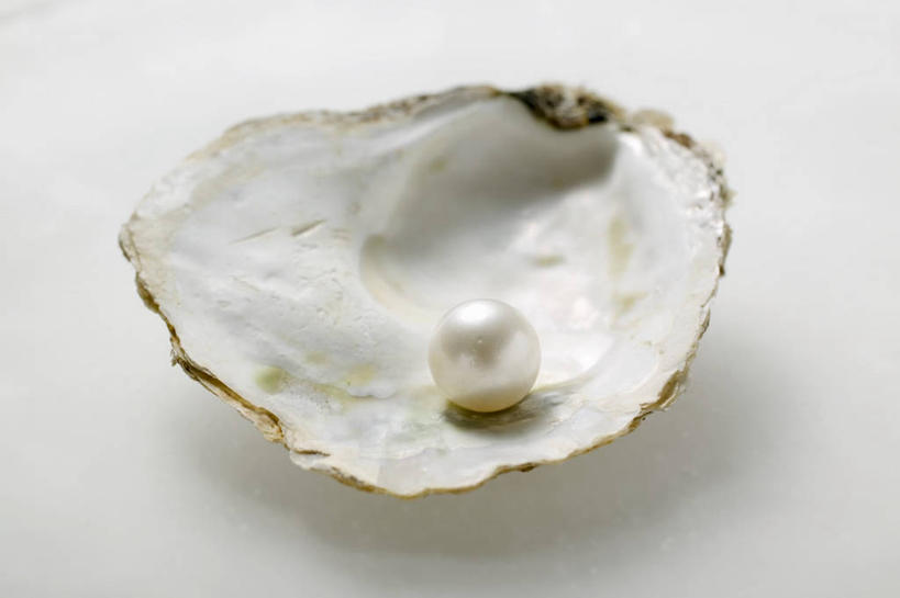 海鲜,无人,横图,俯视,室内,特写,白天,白色背景,幸福,纯洁,餐桌,桌子,阴影,反射,影子,珍珠,牡蛎,一颗,水产,海洋生物,健康,摄影,影棚,餐台,生蚝,贵重,珍贵,富有,水生动物,海产品,水生物,海底动物,宝贵,有机宝石,彩图,高角度拍摄,影棚拍摄,拍摄