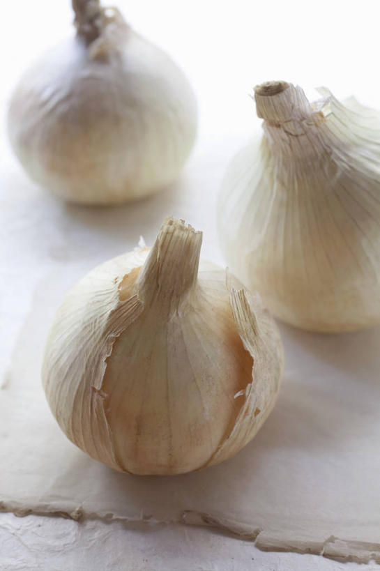 无人,竖图,俯视,室内,特写,白天,白色背景,餐桌,桌子,蔬菜,洋葱,阴影,新鲜,反射,影子,食品,食物,三个,摄影,有机食品,绿色食品,影棚,餐台,玉葱,圆葱,洋葱头,球葱,葱头,彩图,高角度拍摄,影棚拍摄,拍摄,白洋葱