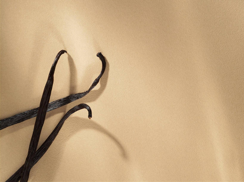 无人,横图,俯视,室内,特写,白天,植物,餐桌,桌子,阴影,反射,影子,草药,药草,中药,两个,黑色,清热,摄影,影棚,餐台,药材,中草药,香草兰,中药材,本草,解毒,婆绒花,山薄荷,石母草,彩图,高角度拍摄,影棚拍摄,拍摄