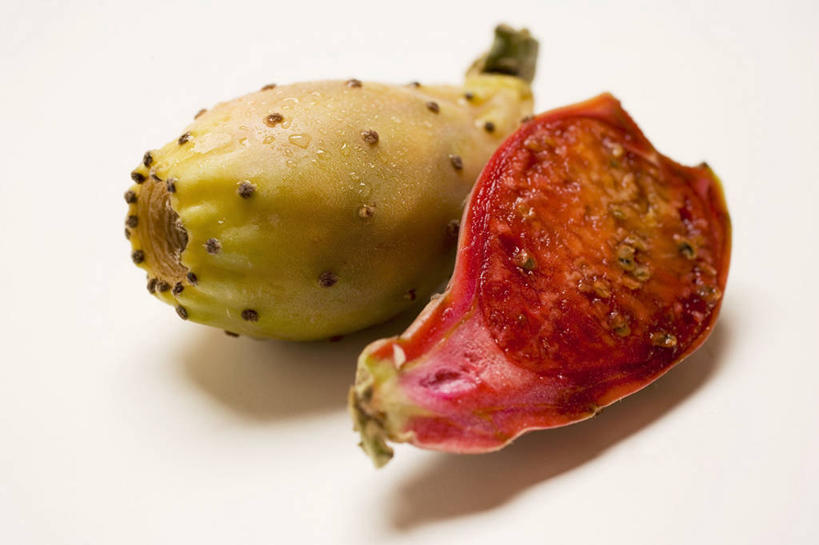 无人,横图,俯视,室内,特写,白天,白色背景,植物,桌面,桌子,仙人球,阴影,朦胧,模糊,反射,木制,影子,草药,中药,两个,黄色,红色,木制品,摄影,影棚,药材,中草药,中药材,本草,草球,长盛球,彩图,高角度拍摄,影棚拍摄,拍摄