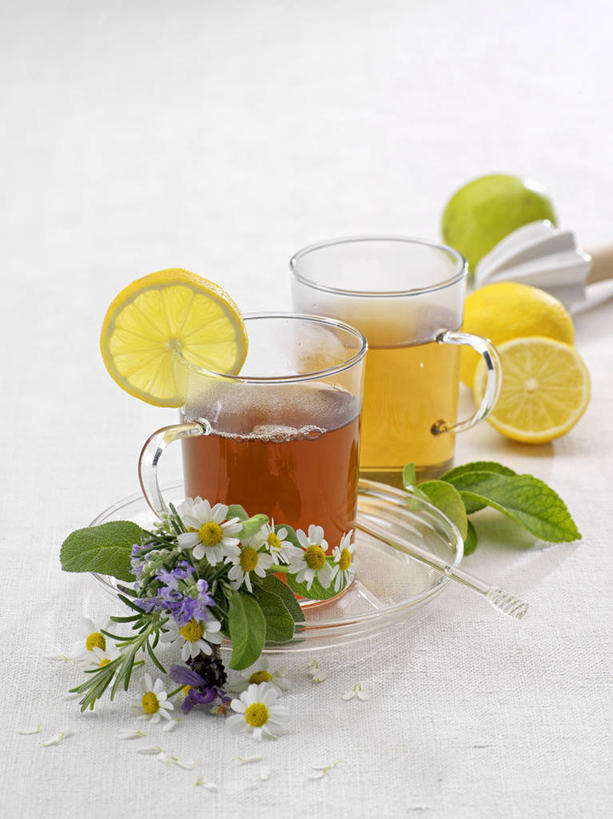 竖图,室内,特写,白天,白色背景,正面,幸福,茶,柠檬,杯子,水果,阴影,朦胧,模糊,新鲜,盛开,反射,影子,生食,茶叶,食品,果实,花蕾,娱乐,玻璃制品,花,花瓣,花朵,鲜花,食物,两个,水杯,花苞,花蕊,享受,休闲,温馨,放松,乐趣,摄影,有机食品,绿色食品,影棚,提神,舒适,醒脑,柠檬叶,酸橙,代代,玻璃杯,益母果,柠果,橙子,橙,半身,彩图,影棚拍摄,拍摄,黎檬,洋柠檬