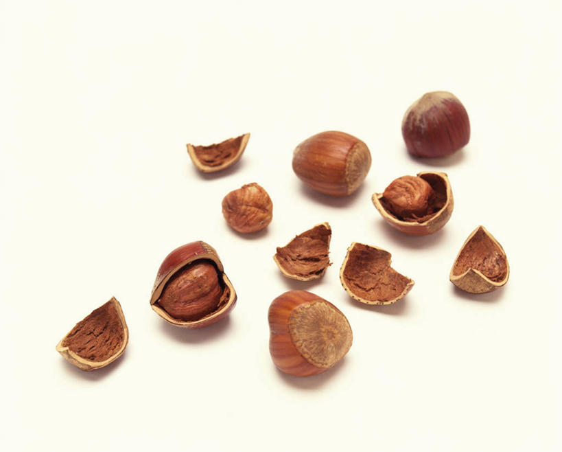 无人,横图,俯视,室内,特写,白天,白色背景,餐桌,桌子,许多,阴影,破碎,反射,影子,坚果,果实,干果,摄影,影棚,餐台,破裂,榛子,摧毁,山板栗,彩图,高角度拍摄,影棚拍摄,拍摄