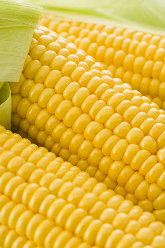 无人,竖图,俯视,室内,特写,白天,玉米,蔬菜,阴影,新鲜,反射,棒子,影子,玉蜀黍,食品,食物,三个,黄色,有机食品,绿色食品,苞米,苞芦,苞谷,包谷,大蜀黍,番麦,薏米包,玉高粱,玉麦,珍珠米,彩图,高角度拍摄,甜玉米
