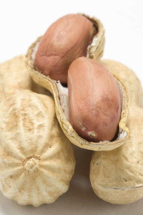 无人,竖图,俯视,室内,特写,白天,白色背景,植物,餐桌,桌子,豆,花生,一堆,阴影,堆叠,堆积,反射,影子,豆类,豆子,坚果,摄影,长生果,影棚,餐台,堆,花生仁,豆科,落花生,落生,花生米,花生豆,彩图,高角度拍摄,影棚拍摄,拍摄