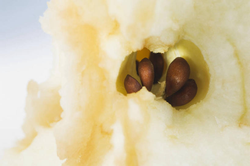 无人,横图,俯视,室内,特写,白天,苹果,水果,阴影,朦胧,模糊,新鲜,反射,影子,生食,食品,果实,食物,有机食品,绿色食品,苹果核,彩图,高角度拍摄