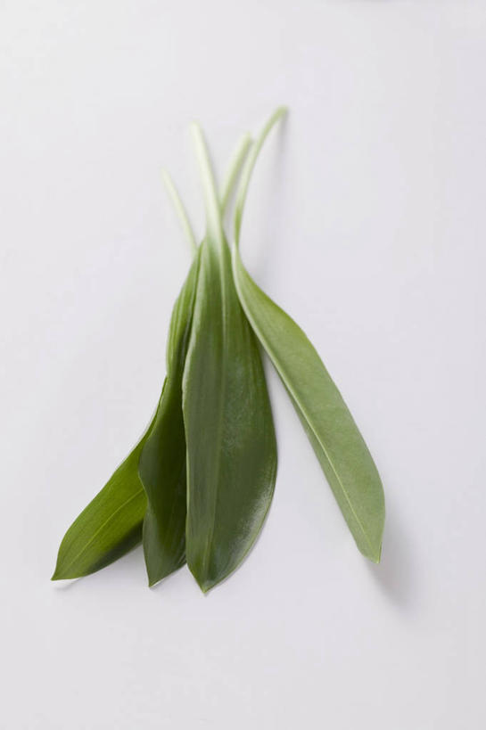 无人,竖图,俯视,室内,特写,白天,白色背景,餐桌,桌子,蔬菜,叶子,阴影,新鲜,反射,影子,食品,绿叶,食物,嫩叶,摄影,有机食品,绿色食品,影棚,餐台,菜芝,山蒜,小根菜,小根蒜,薤白,野葱,野蒜,野小蒜,叶,叶片,彩图,高角度拍摄,影棚拍摄,拍摄