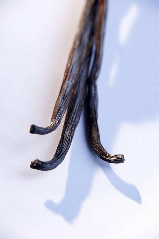 无人,竖图,俯视,室内,特写,白天,白色背景,植物,桌面,桌子,阴影,朦胧,模糊,反射,木制,影子,草药,药草,中药,三个,木制品,清热,摄影,影棚,药材,中草药,香草兰,中药材,本草,解毒,婆绒花,山薄荷,石母草,彩图,高角度拍摄,影棚拍摄,拍摄