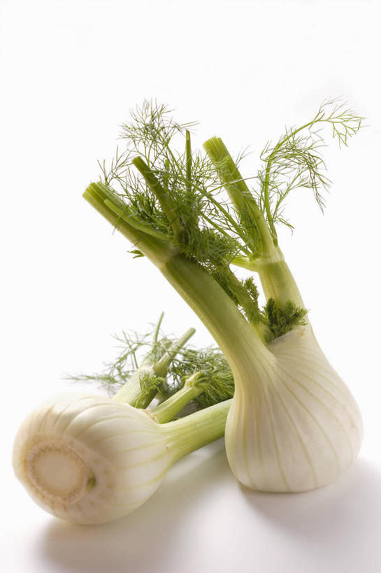 无人,竖图,俯视,室内,特写,白天,白色背景,桌面,桌子,蔬菜,阴影,新鲜,反射,木制,影子,食品,食物,两个,木制品,茴香,摄影,有机食品,绿色食品,影棚,球茎茴香,甜茴香,意大利茴香,彩图,高角度拍摄,影棚拍摄,拍摄