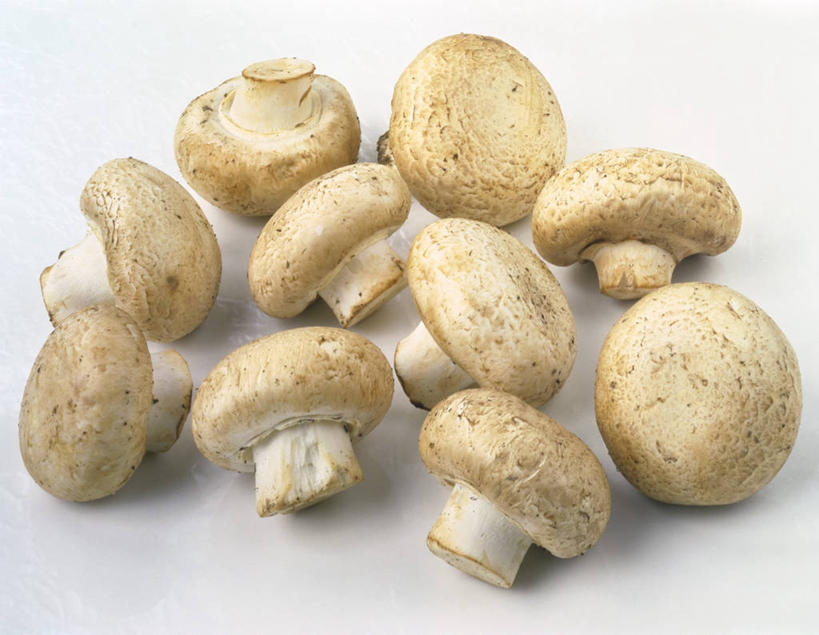 无人,横图,俯视,室内,特写,白天,白色背景,餐桌,桌子,蔬菜,许多,阴影,新鲜,反射,影子,菌菇,蘑菇,食品,很多,菌类,食物,白色,食用菌,摄影,有机食品,绿色食品,影棚,餐台,白蘑菇,洋蘑菇,草腐菌,二孢蘑菇,双孢蘑菇,彩图,高角度拍摄,影棚拍摄,拍摄