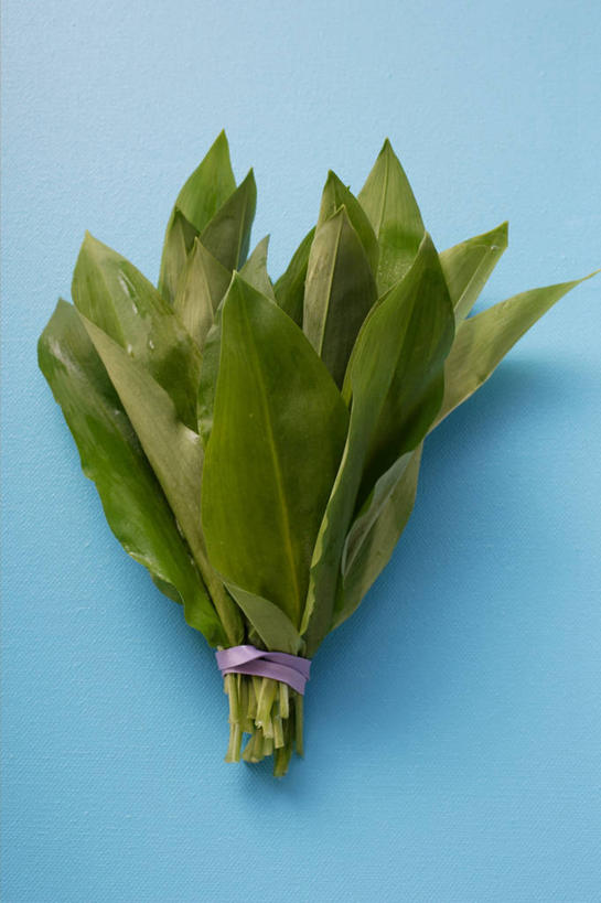 无人,竖图,俯视,室内,特写,白天,餐桌,桌子,蔬菜,叶子,阴影,蓝色背景,新鲜,反射,影子,食品,绿叶,食物,绳子,嫩叶,摄影,有机食品,绿色食品,影棚,餐台,捆绑,绳索,绑缚,菜芝,山蒜,小根菜,小根蒜,薤白,野葱,野蒜,野小蒜,叶,叶片,彩图,高角度拍摄,影棚拍摄,拍摄