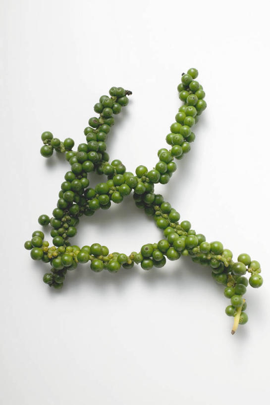 无人,竖图,俯视,室内,特写,白天,白色背景,许多,连接,阴影,反射,影子,调料,调味,香料,佐料,调味品,调味料,摄影,影棚,绿胡椒,配料,作料,贯穿,连结,衔接,串连,胡椒,彩图,高角度拍摄,影棚拍摄,拍摄