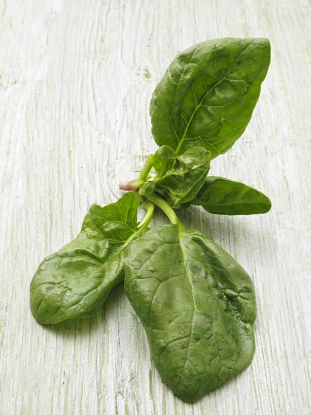 无人,竖图,俯视,室内,特写,白天,桌面,桌子,菠菜,蔬菜,叶子,阴影,新鲜,反射,木制,影子,食品,绿叶,食物,木制品,嫩叶,有机食品,绿色食品,叶,叶片,鹦鹉菜,鼠根菜,角菜,红嘴绿鹦哥,赤根菜,菠薐菜,波斯草,彩图,高角度拍摄