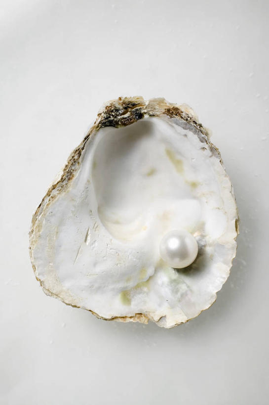 海鲜,无人,竖图,俯视,室内,特写,白天,白色背景,幸福,纯洁,桌面,桌子,阴影,反射,木制,影子,珍珠,牡蛎,水产,海洋生物,一个,木制品,健康,摄影,影棚,单个,生蚝,贵重,珍贵,富有,水生动物,海产品,水生物,海底动物,宝贵,有机宝石,彩图,高角度拍摄,影棚拍摄,拍摄