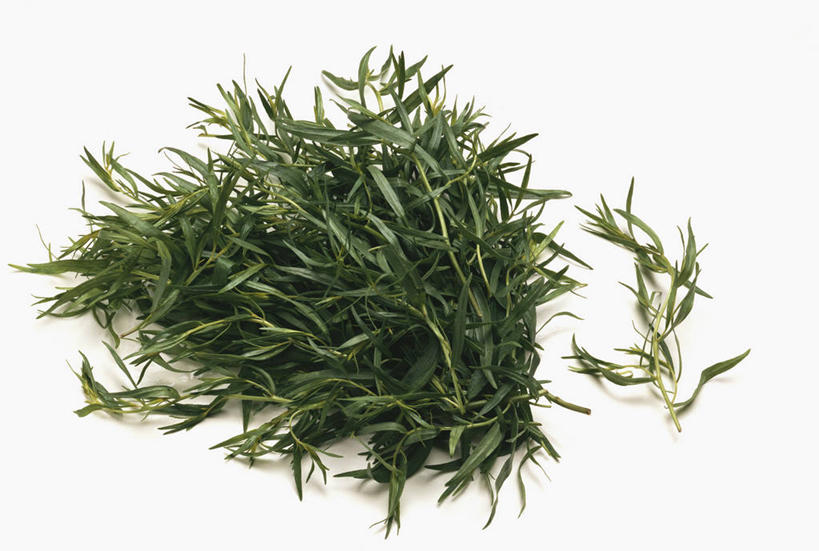 无人,横图,俯视,室内,特写,白天,白色背景,植物,餐桌,桌子,叶子,许多,阴影,反射,纹理,影子,绿叶,草药,药草,很多,中药,绿色,嫩叶,摄影,影棚,餐台,药材,中草药,龙蒿,中药材,本草,肌理,椒蒿,青蒿,蛇蒿,叶,叶片,叶脉,彩图,高角度拍摄,影棚拍摄,拍摄