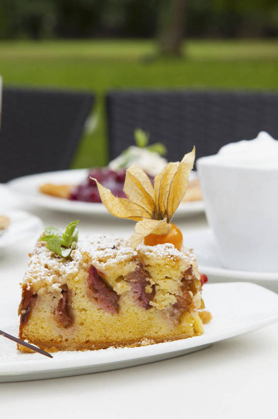 点心,无人,竖图,俯视,室外,特写,白天,草地,草坪,植物,餐桌,桌子,李子,餐具,水果,阴影,朦胧,模糊,新鲜,光线,碟子,盘,影子,生食,料理,食品,甜点,甜品,果实,小吃,美食,草,树,树木,食物,糕点,一个,绿色,阳光,自然,盘子,碟,中式,有机食品,绿色食品,生长,单个,成长,餐台,红李,鸡血李,杏李,彩图,高角度拍摄,梅花糕