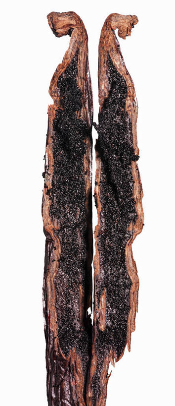 无人,竖图,室内,特写,白天,白色背景,正面,植物,餐桌,桌子,两根,阴影,反射,影子,草药,药草,中药,黑色,清热,摄影,影棚,餐台,药材,中草药,香草兰,中药材,本草,解毒,婆绒花,山薄荷,石母草,彩图,影棚拍摄,拍摄