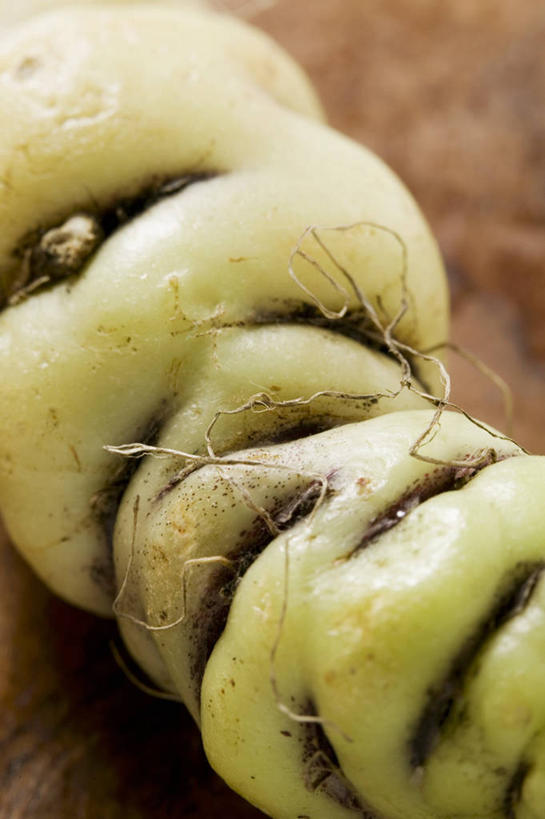 无人,竖图,俯视,室内,特写,白天,餐桌,桌子,蔬菜,一排,许多,阴影,新鲜,整齐,反射,影子,食品,很多,食物,排列,绿色,有机食品,绿色食品,餐台,队列,酸模,野菠菜,皱叶羊蹄,体贴,山菠菜,山大黄,彩图,高角度拍摄