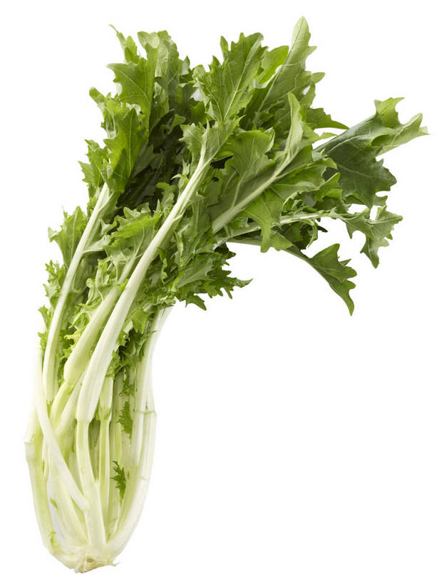 无人,竖图,俯视,室内,特写,白天,白色背景,餐桌,桌子,蔬菜,阴影,新鲜,反射,影子,食品,食物,摄影,有机食品,绿色食品,影棚,餐台,豆瓣菜,水蔊菜,水田芥菜,水茼蒿,西洋菜,彩图,高角度拍摄,影棚拍摄,拍摄