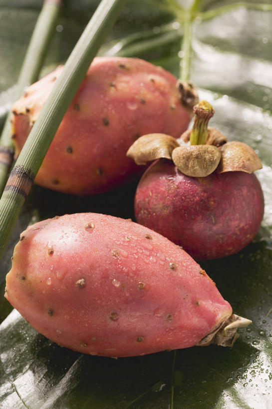 无人,竖图,俯视,室外,特写,白天,草地,草坪,植物,桌面,桌子,水果,阴影,朦胧,模糊,新鲜,反射,木制,影子,青椒,调味,生食,香料,佐料,食品,果实,草药,药草,中药,草,食物,绿色,木制品,有机食品,绿色食品,山竹果,山竹,莽吉柿,花椒,山椒,配料,山竹子,山竺,药材,中草药,中药材,本草,作料,大花椒,狗椒,红花椒,青花椒,蜀椒,香椒,红椒,彩图,高角度拍摄,罗汉果,神仙果